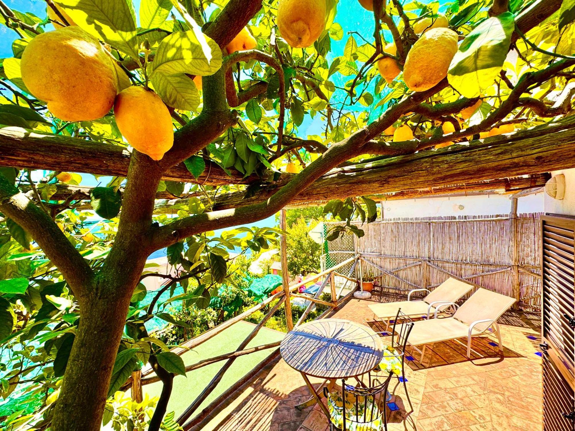 Emotion Apartment ปรายาโน ภายนอก รูปภาพ